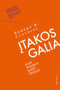 Įtakos galia