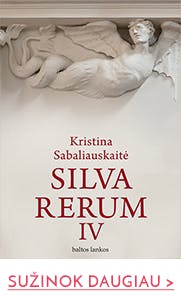 SILVA RERUM IV: ketvirtoji ir paskutinė Kristinos Sabaliauskaitės Vilniaus tetralogijos dalis. Vienas reikšmingiausių pastarojo dešimtmečio lietuvių literatūros kūrinių, pelnęs pripažinimą ne tik Lietuvoje, bet ir užsienyje!
