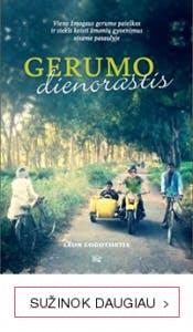 Gerumo dienoraštis