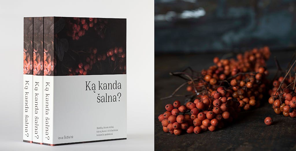 Ką kanda šalna