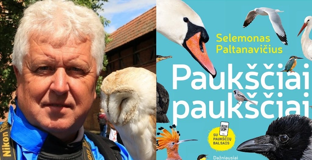 Paltanavičius